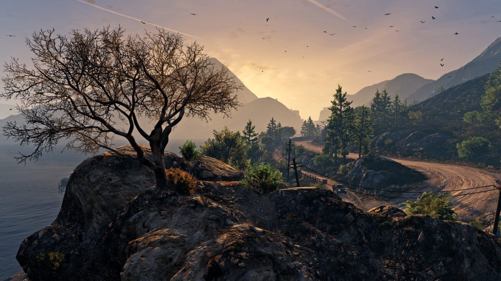 A lone tree on a rocky cliff above the Blaine County coastline