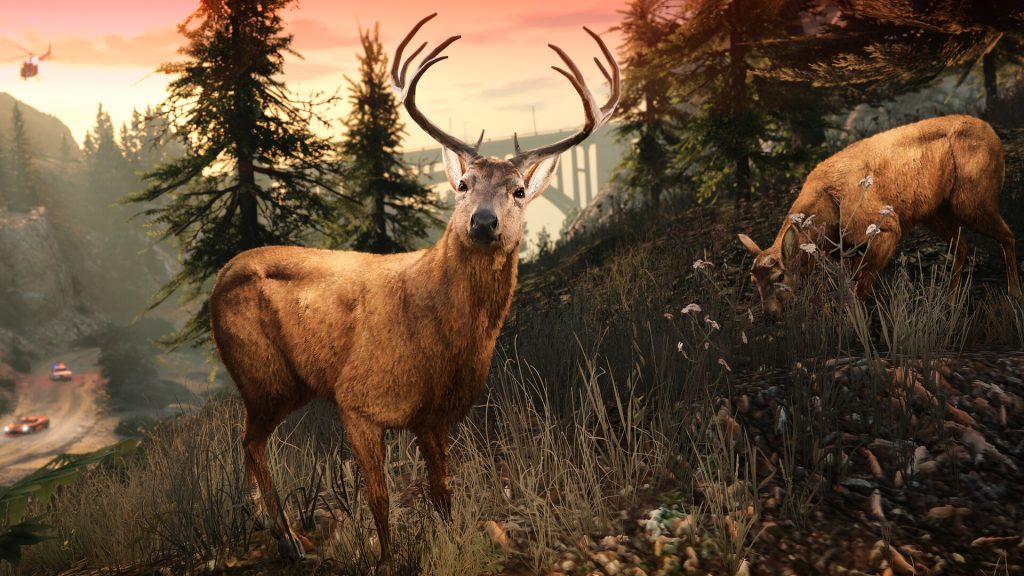 A stag standing among pine trees in the forest at sunset